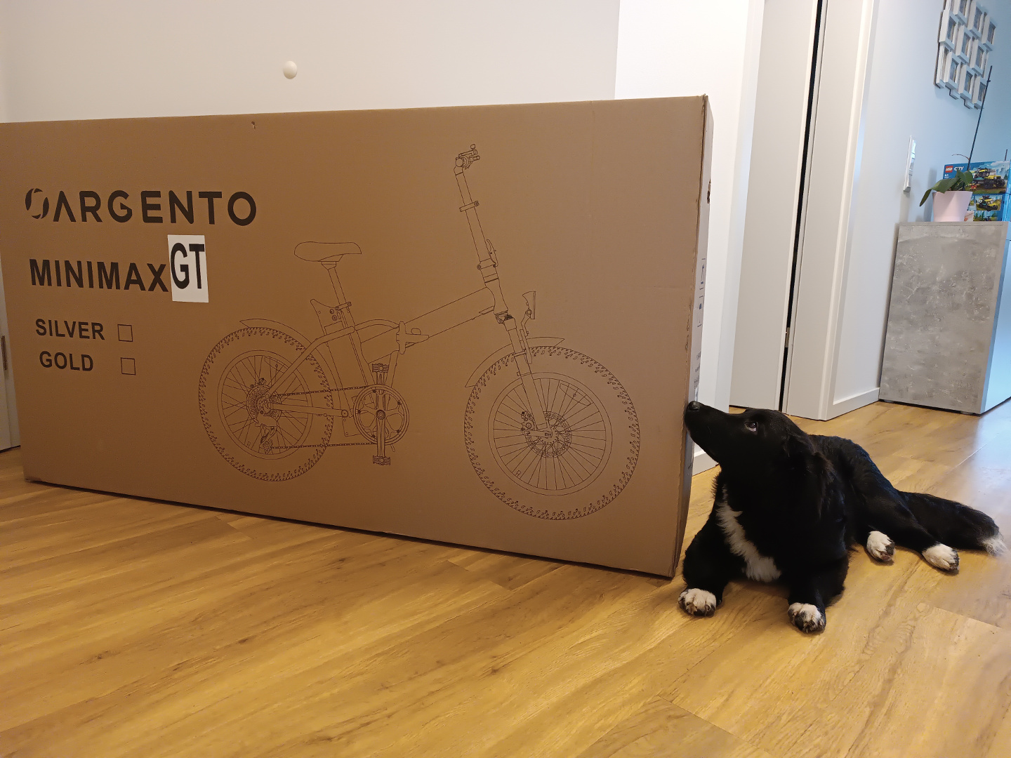 Argento E-Bike Karton