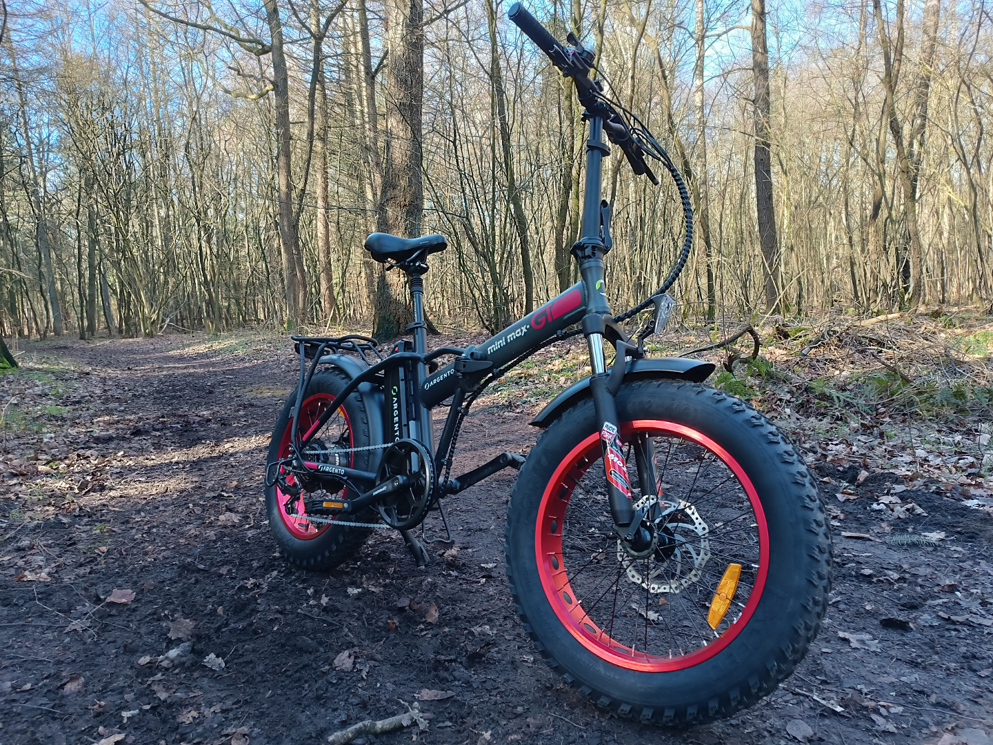 Argento Mini Max GT im E-Bike Test