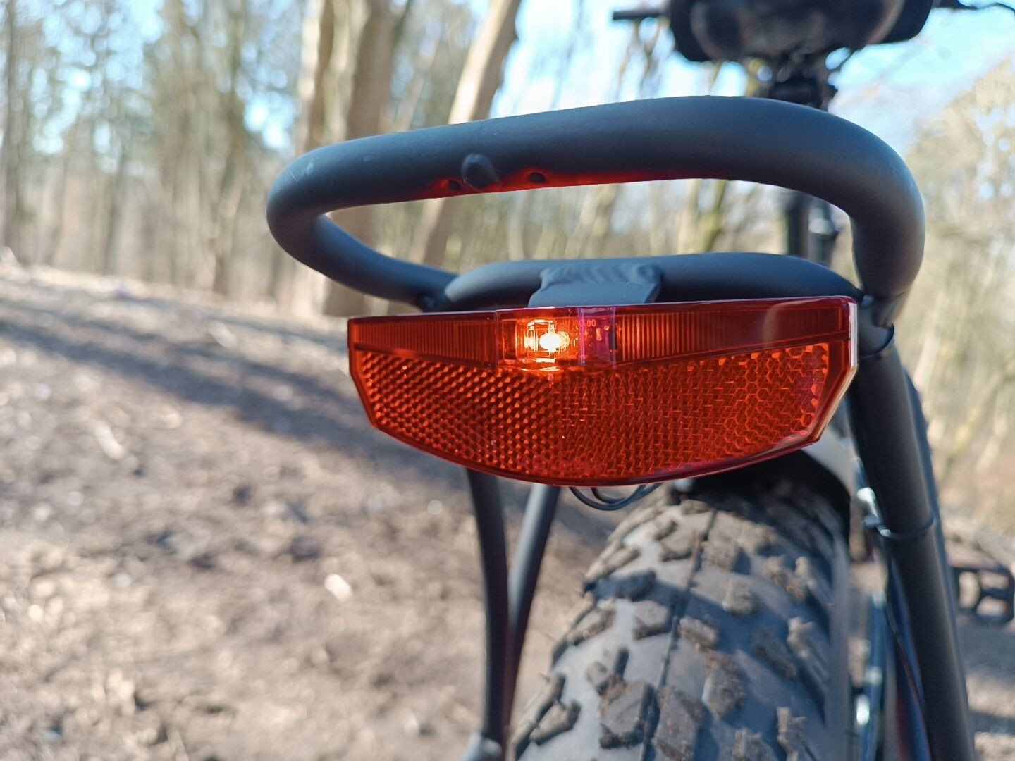 LED Rücklicht im Argento E-Bike Test