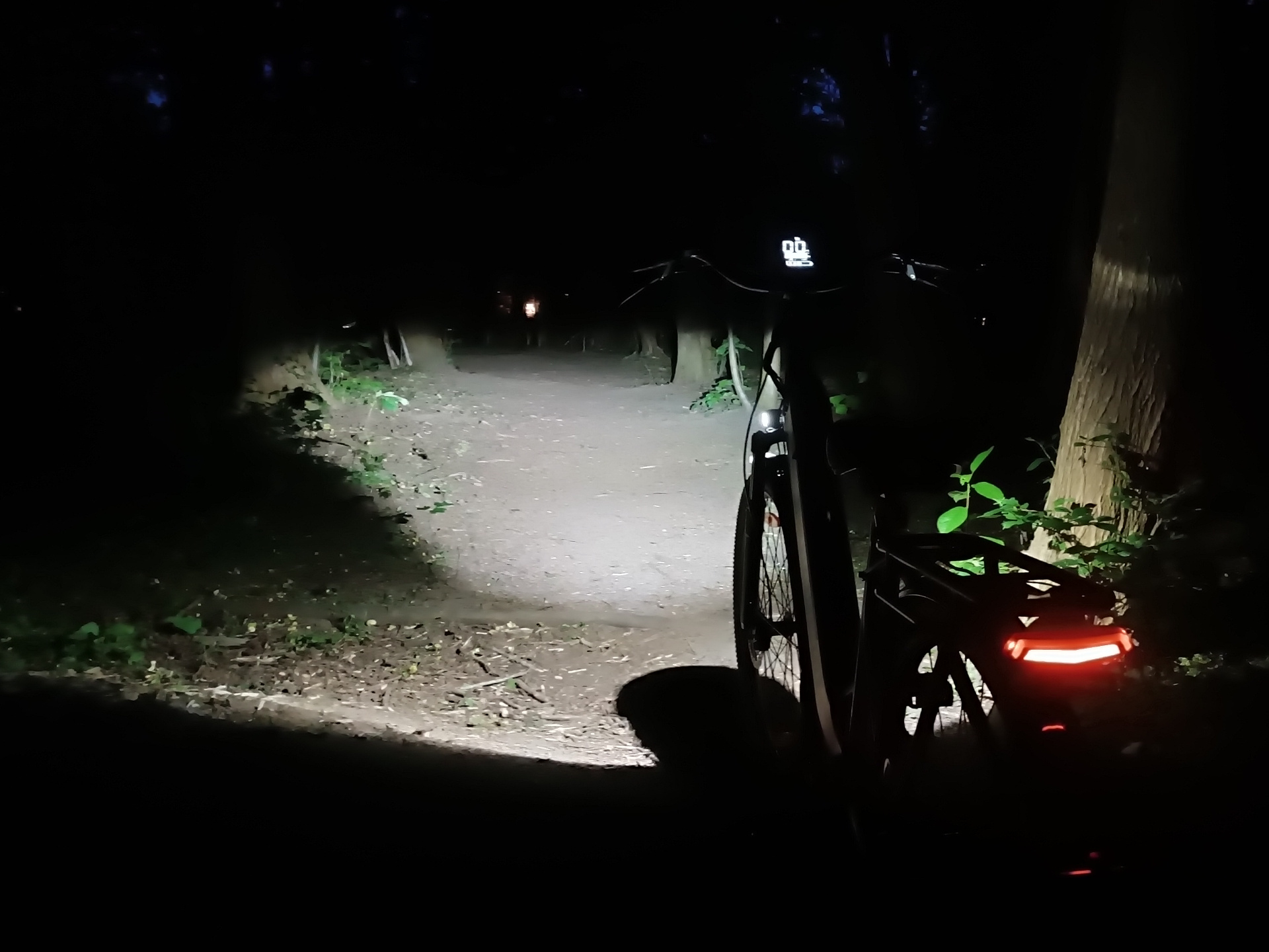 Bremslicht im Bodywel E-Bike Test