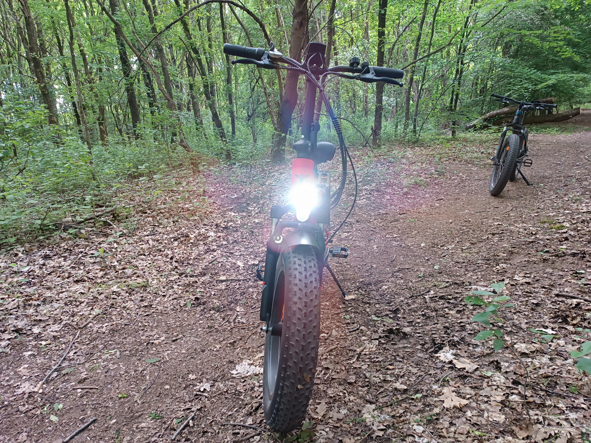 E-Fatbike Test