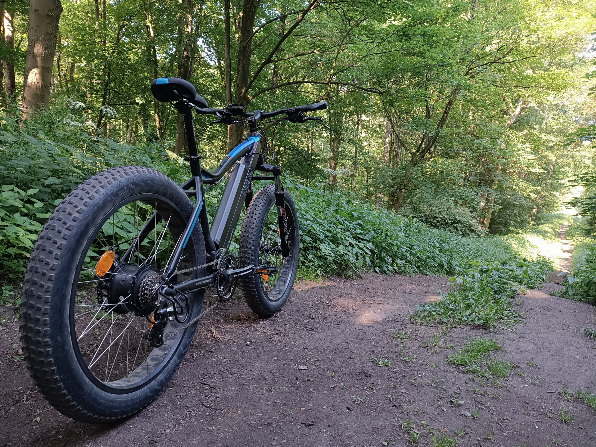 E-Mountainbike Test