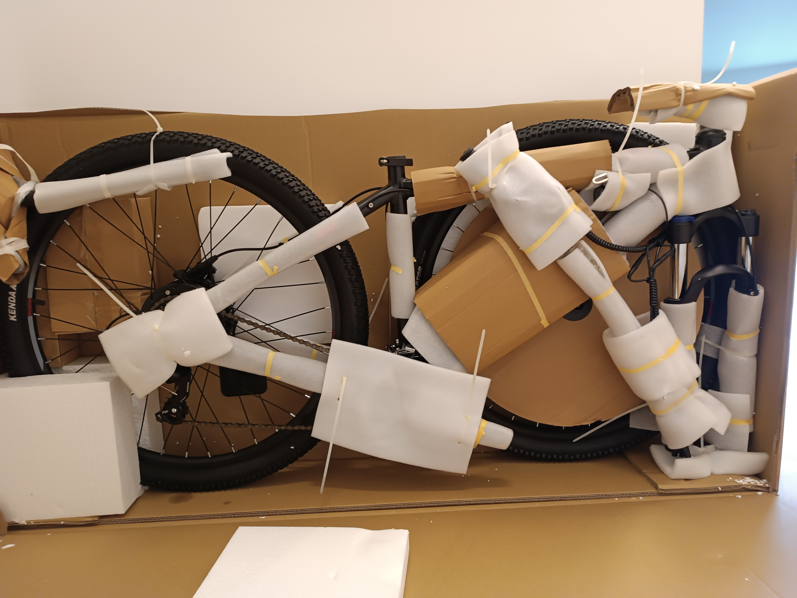 Das Eleglide E-Bike wirde sicher verpackt geliefert