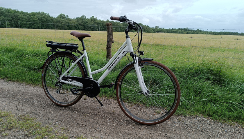 Das F.lli Schiano E-Ride macht in meinem E-Bike Test einen guten Eindruck