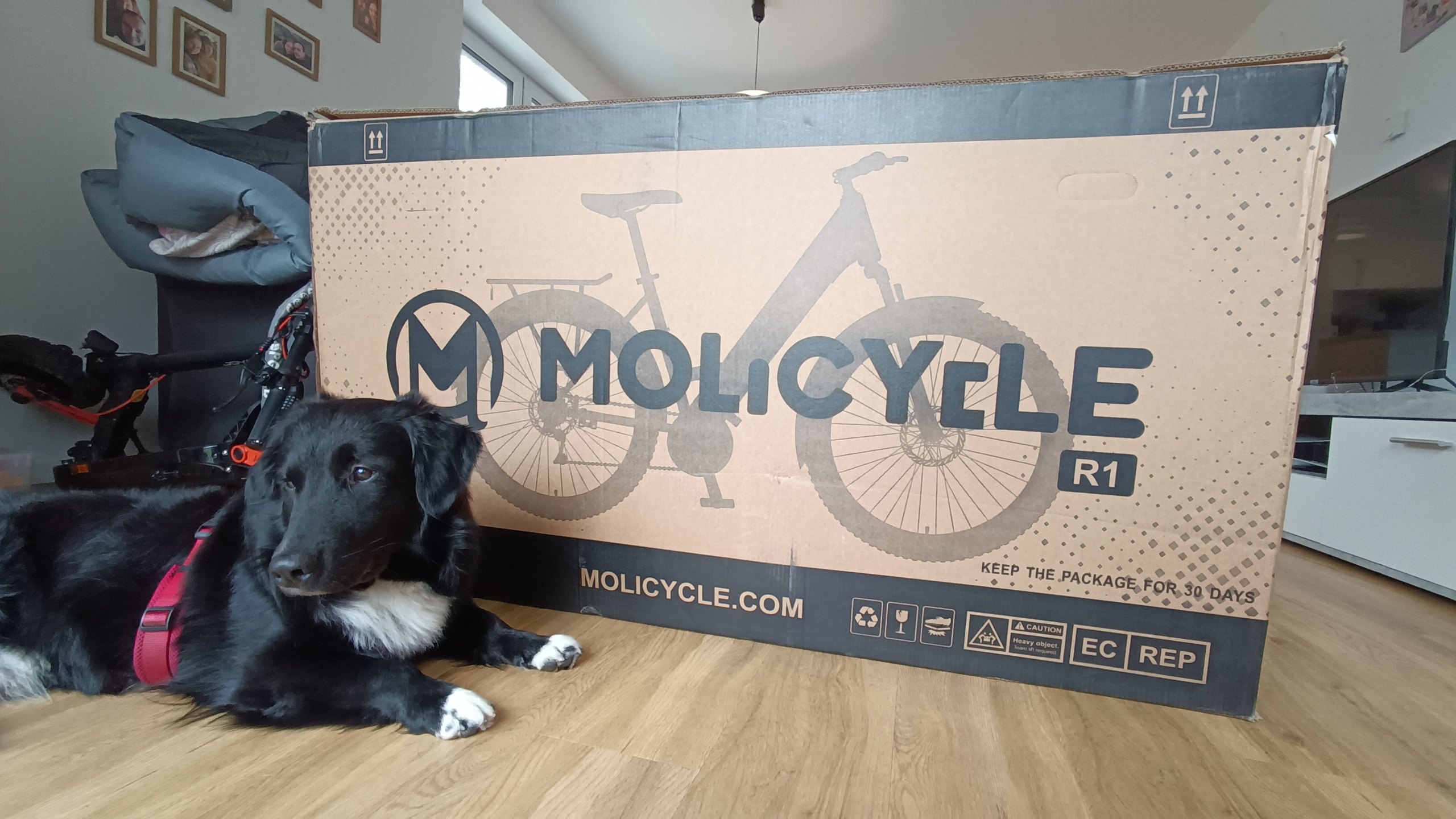 Geliefert wird das Molicycle R1 in einem sehr stabilen Karton | Quelle: ebiketester24.de