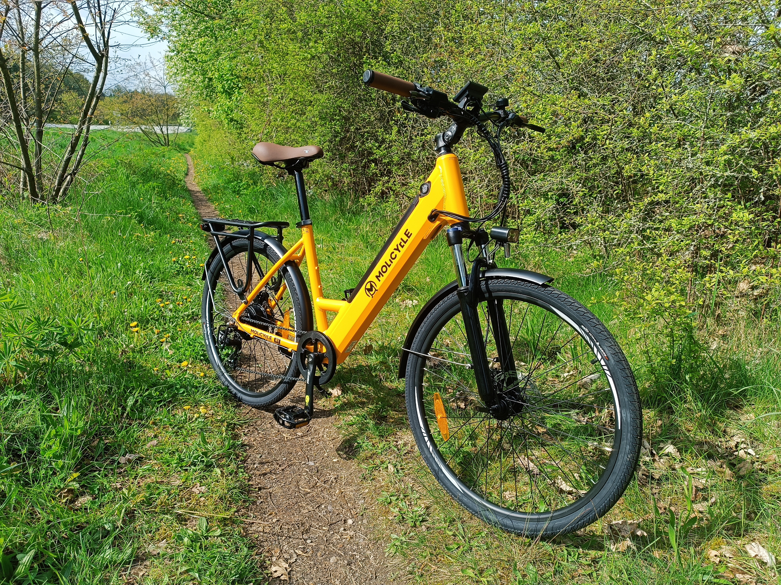 Das Molicycle R1 fühlt sich nicht nur in der Stadt wohl | Quelle: ebiketester24.de